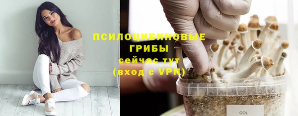 мдпв Горно-Алтайск