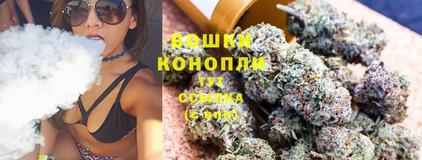 мдпв Горно-Алтайск