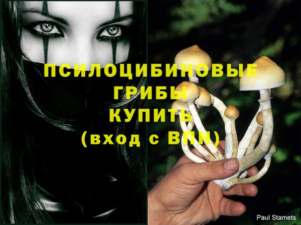 меф Горняк