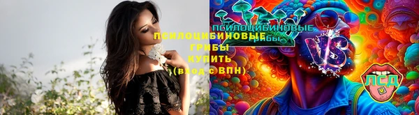 меф Горняк