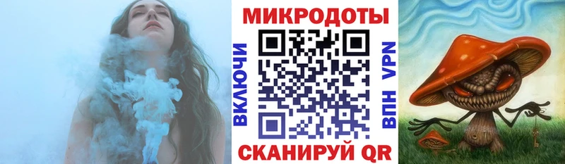 где можно купить   Арзамас  Псилоцибиновые грибы MAGIC MUSHROOMS 